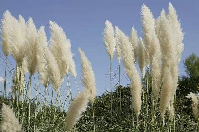 儿时的记忆老物件,80年代老物件渔具