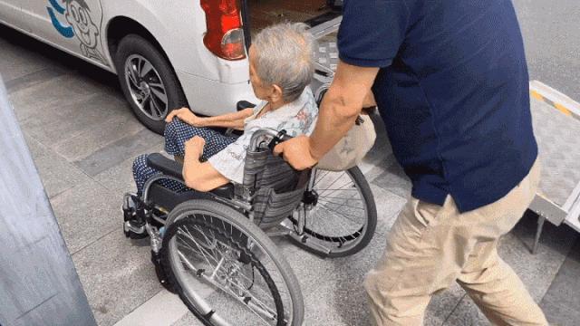 旺旺早期直播的视频,旺旺探店视频