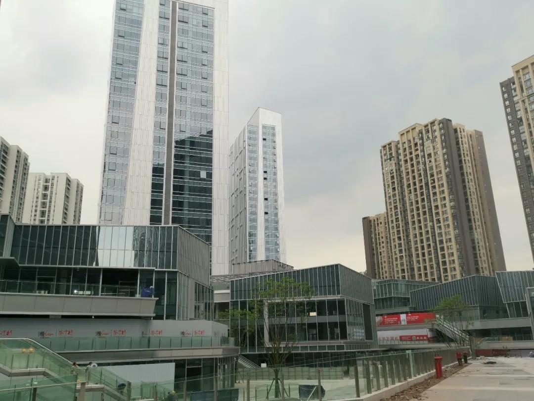 照母山新利好,利好照母山