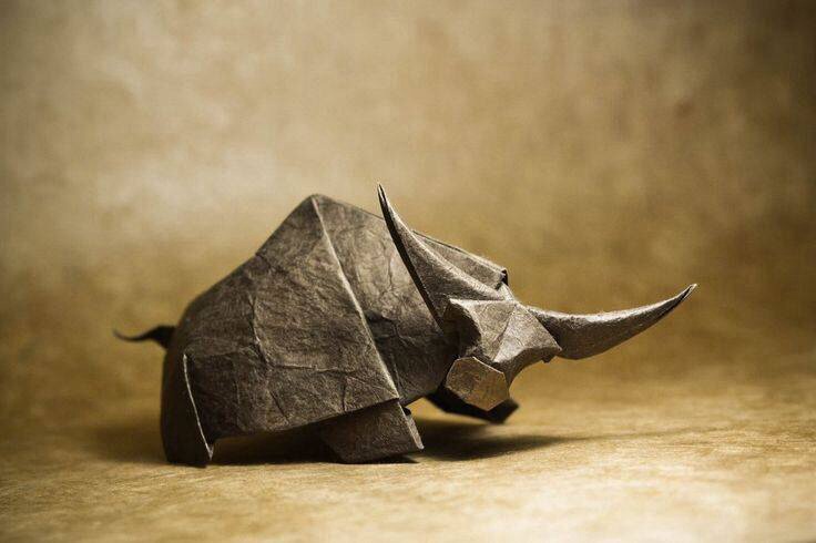 关于动物的作文优美段落摘抄,描写动物的好段落摘抄60个字