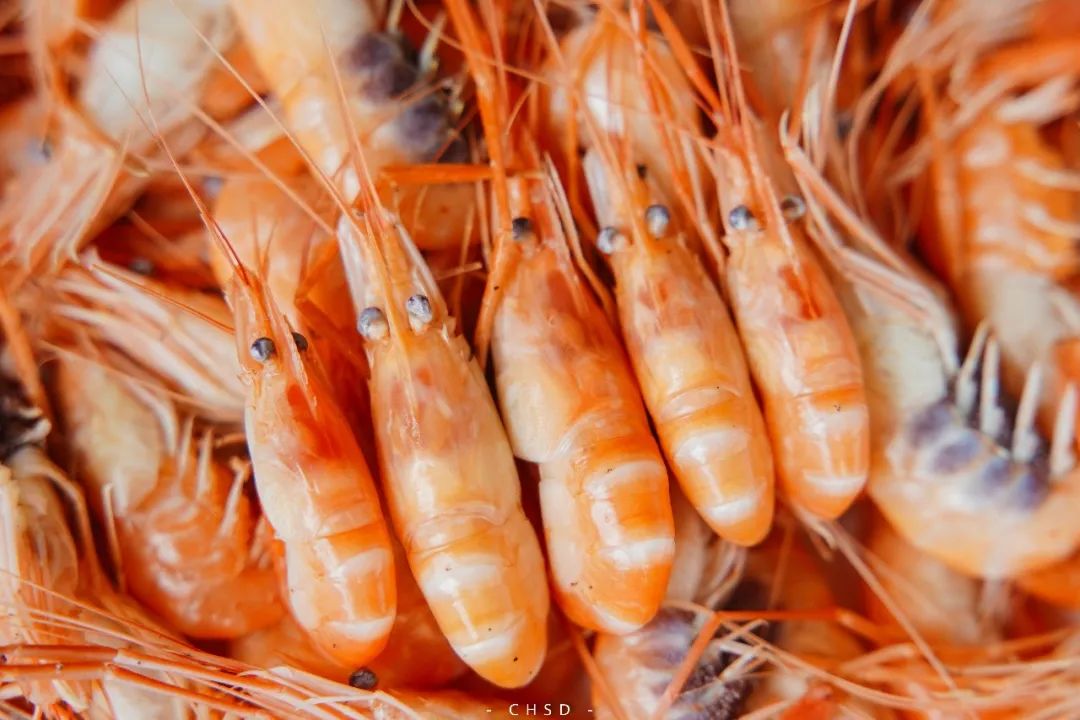 开渔啦一大波海鲜,开渔喽