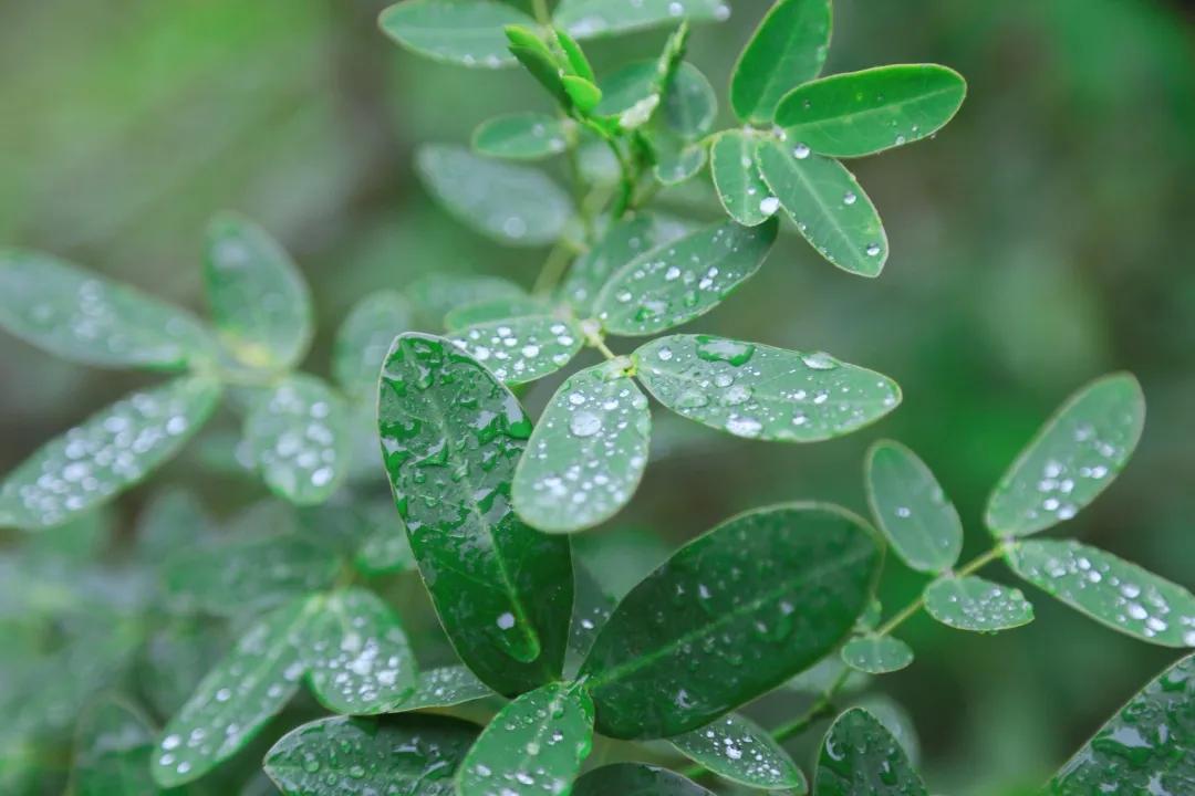 福建人游福建|厦航国旅首发团，邀您一起共赏好*光春**