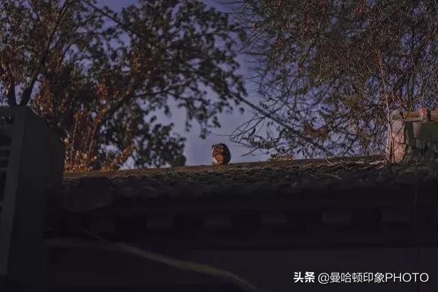 ps里cmyk曲线调色原理及技巧,ps曲线实用技巧学会了吗