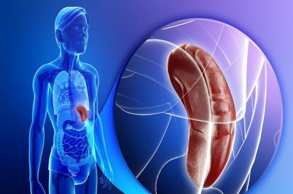 脸上油脂粒怎么护肤,脸上油脂粒挤出黄色颗粒