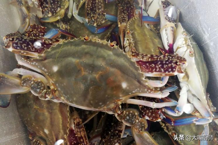 梭子蟹吃不完可以冷冻吗,梭子蟹要第二天吃该怎么存放