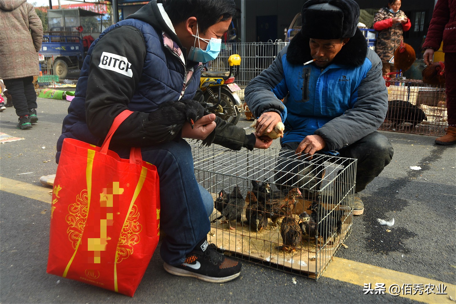 农村集市上的宠物鸡,30元一只挺值钱,小伙无意间发现商机