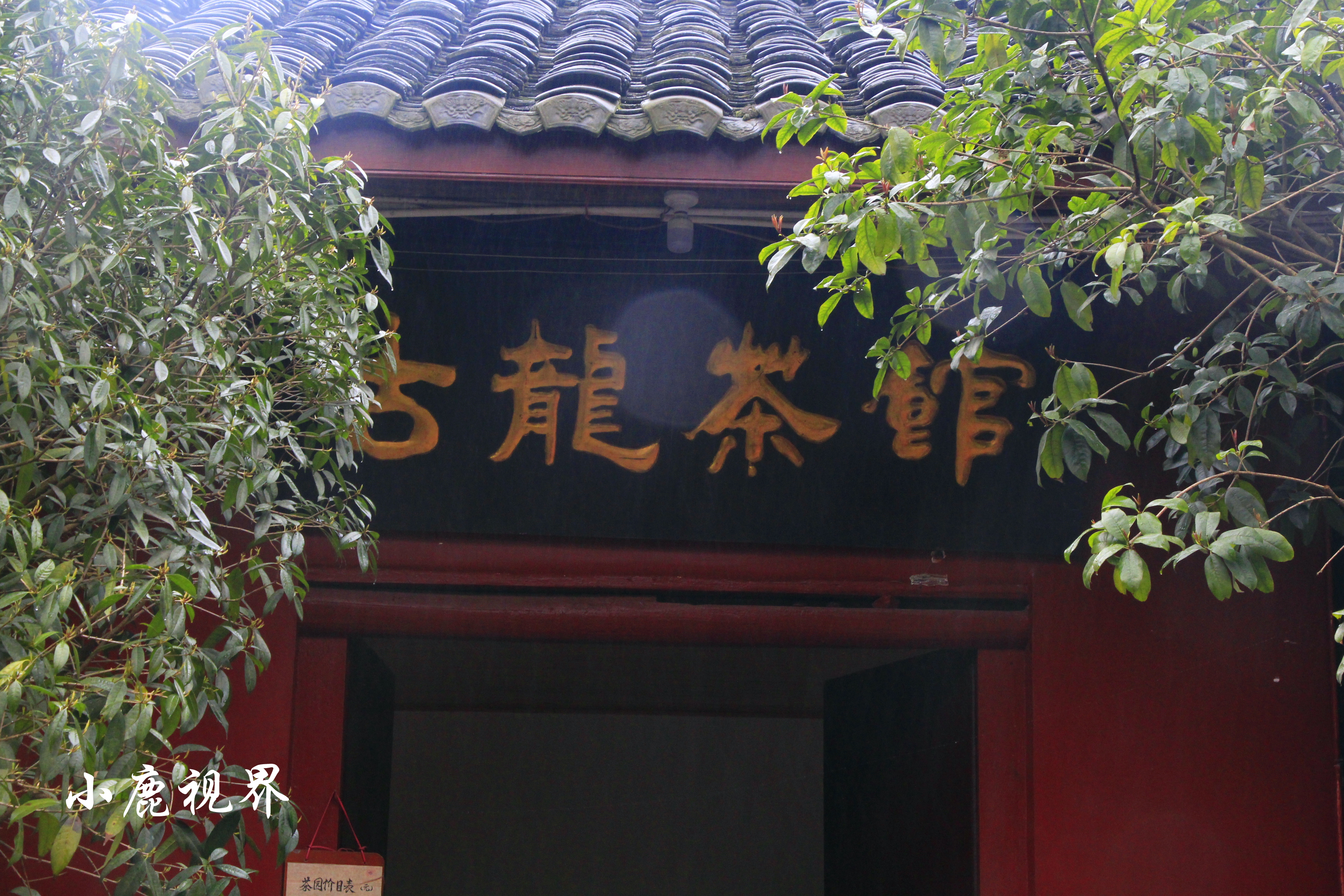 成都耍水的古镇黄龙溪古镇,山水田园黄龙溪古镇