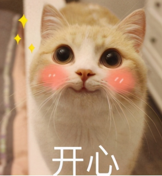 花8000买芭比娃娃,花1000多给手办买了件衣服