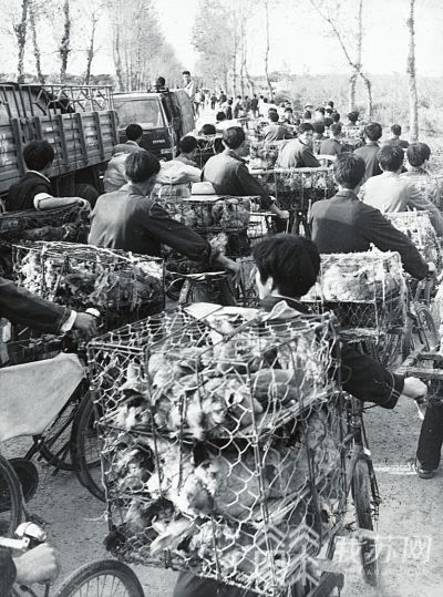 海安发展最新规划,海安全力推进产业强市战略