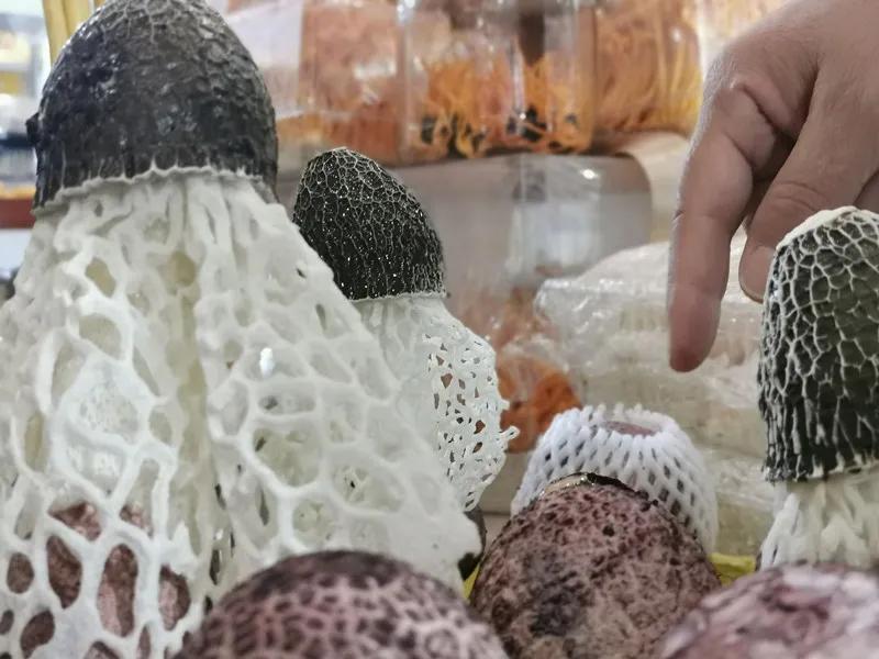 合肥农交会2023,合肥农交会的东西怎么样