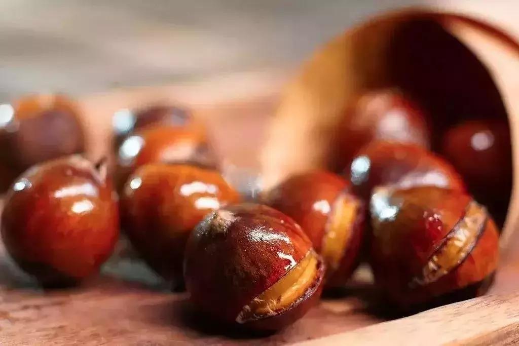 食补养生十二字诀,药补食补四季五补