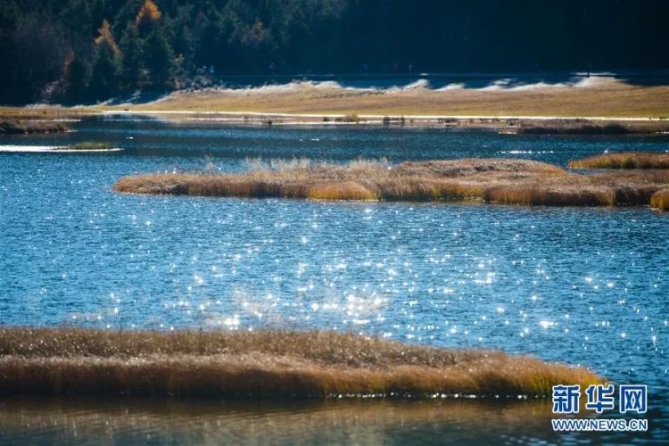 早安辽宁营口,早安营口的作品