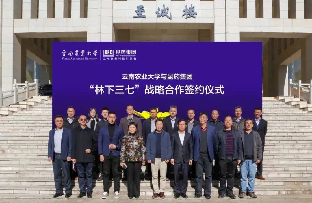 云南昆药集团简介,昆药集团公司简介