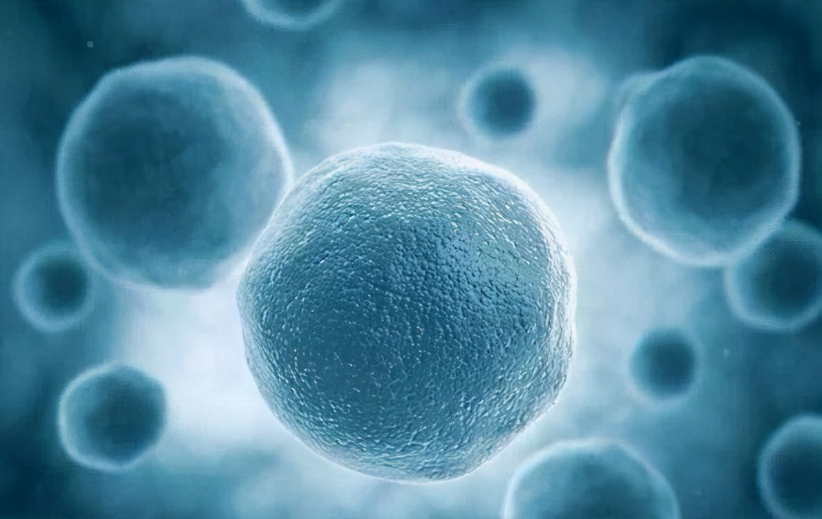 微创手术做了需要休息多久,做手术后要休息多少天