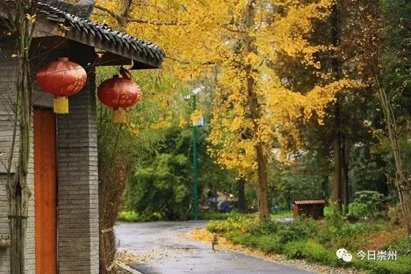 成都的天府公园,四川天府新区的公园城市