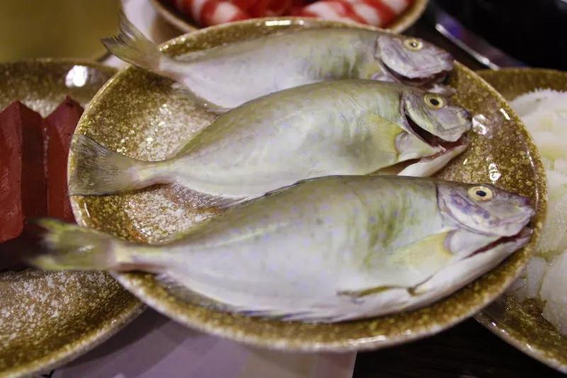 王小锅旋转小火锅加盟需要多少钱,小旋转小火锅加盟费需要多少钱