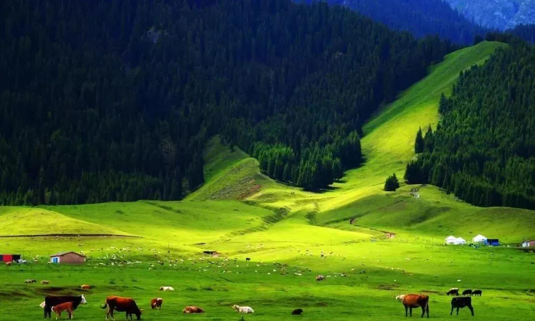 塔城最好旅游季节,塔城好去处