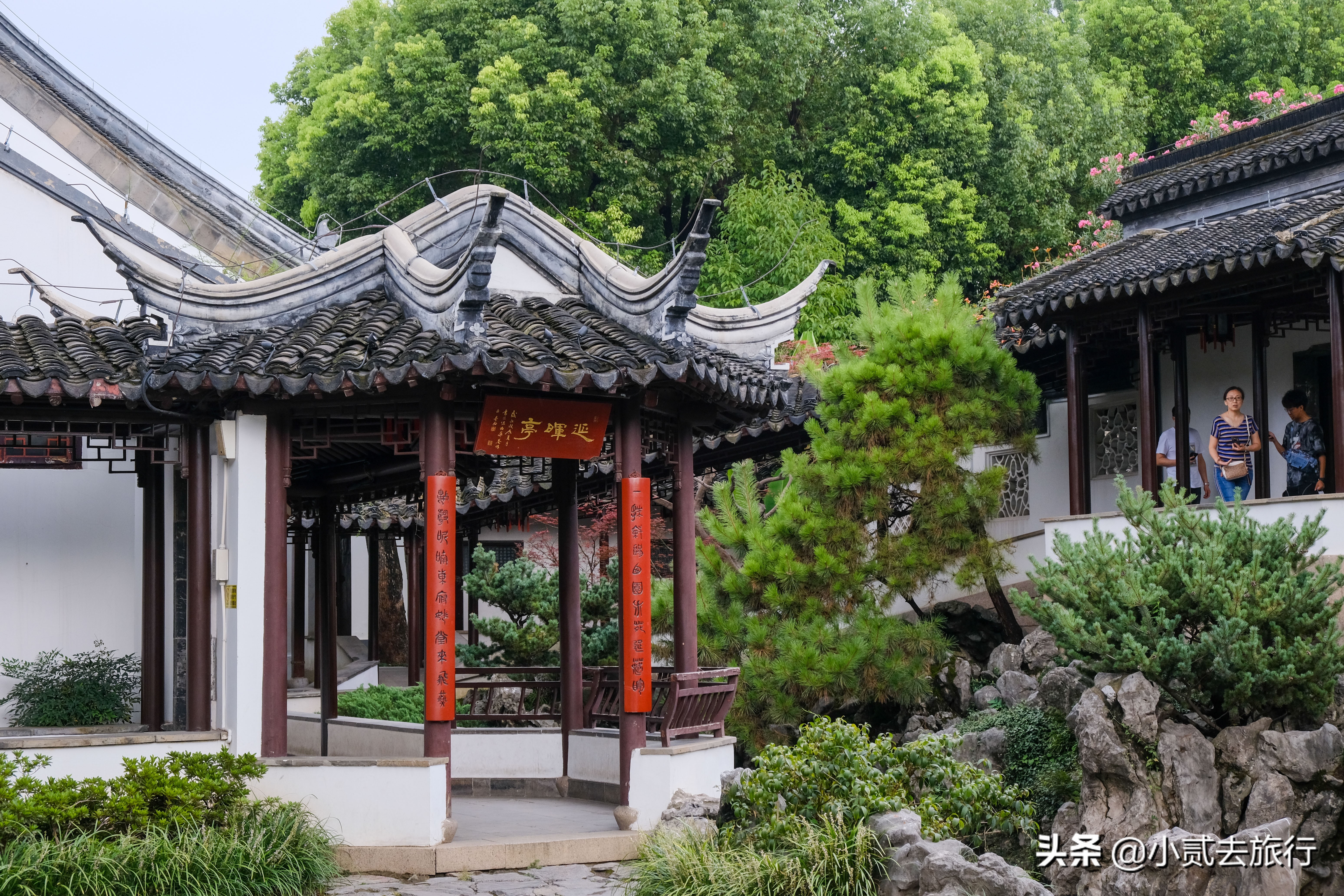 瞻园最经典的地方,瞻园最著名的景点