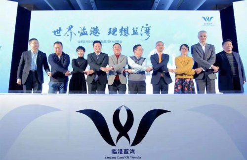 上海临港蓝湾最新规划,临港蓝湾未来交通