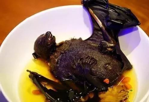 野生蝙蝠都吃什么,十大不能吃的野生蝙蝠