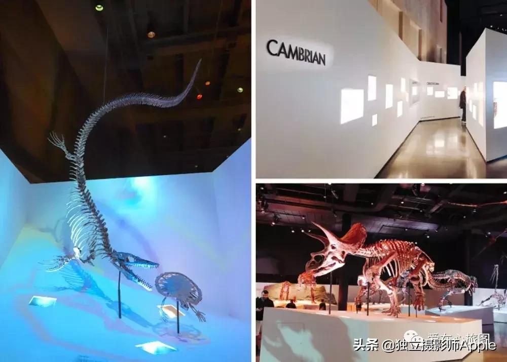 请收下这份美好生活攻略,请收下这份旅游攻略