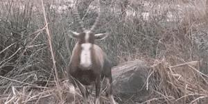 为什么加油站要24小时上班,为什么加油站一个工资1800