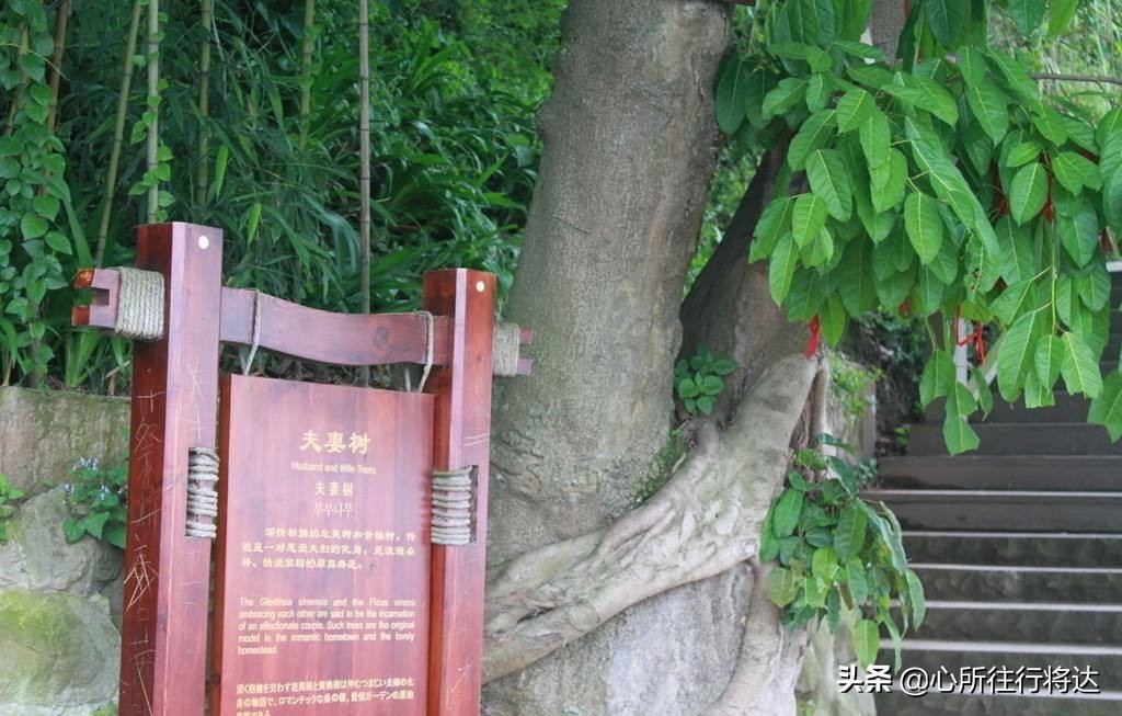 金丝大峡谷旅游有哪些推荐,金丝大峡谷景区攻略