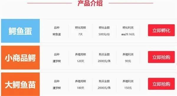 云养殖:喂鸡、种花、养老虎,2020直播电商新风口