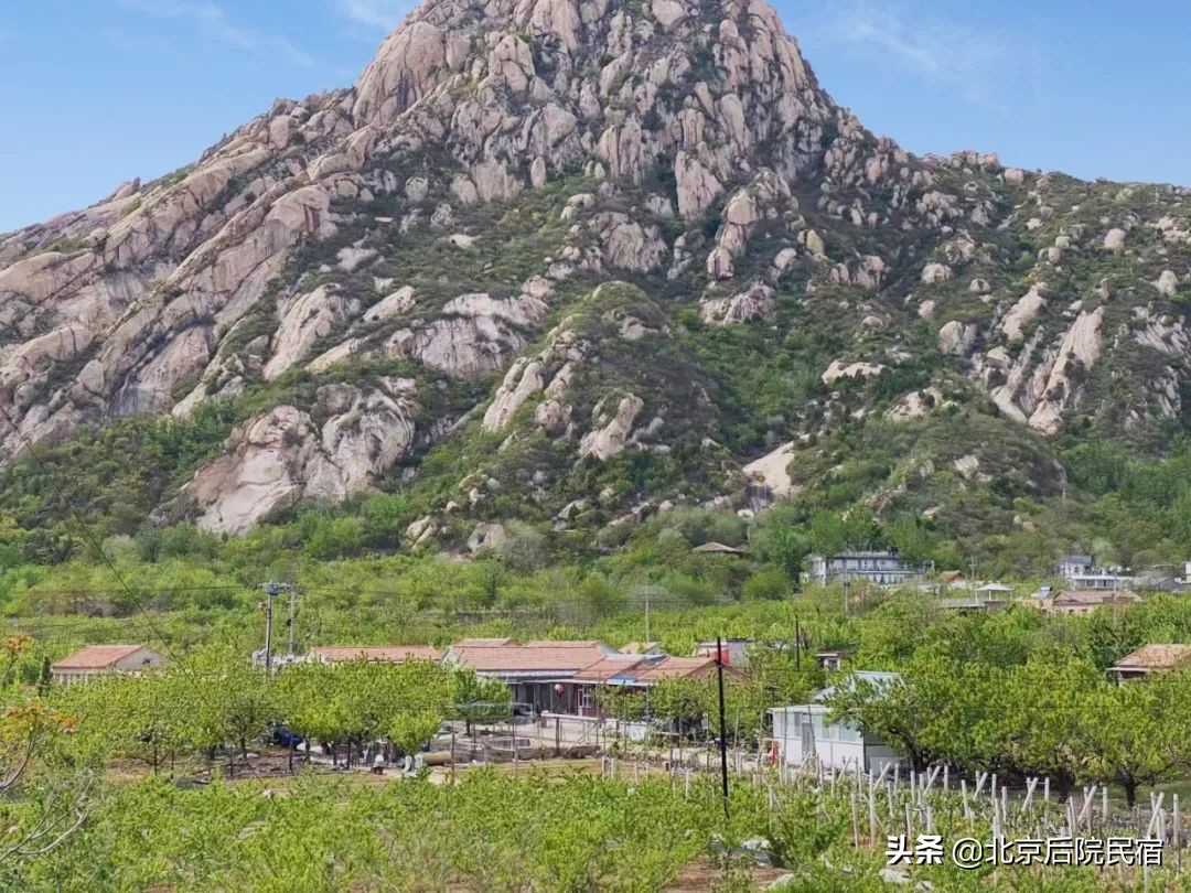 后院·厂仓|大智の宅,住进80后怀旧故居