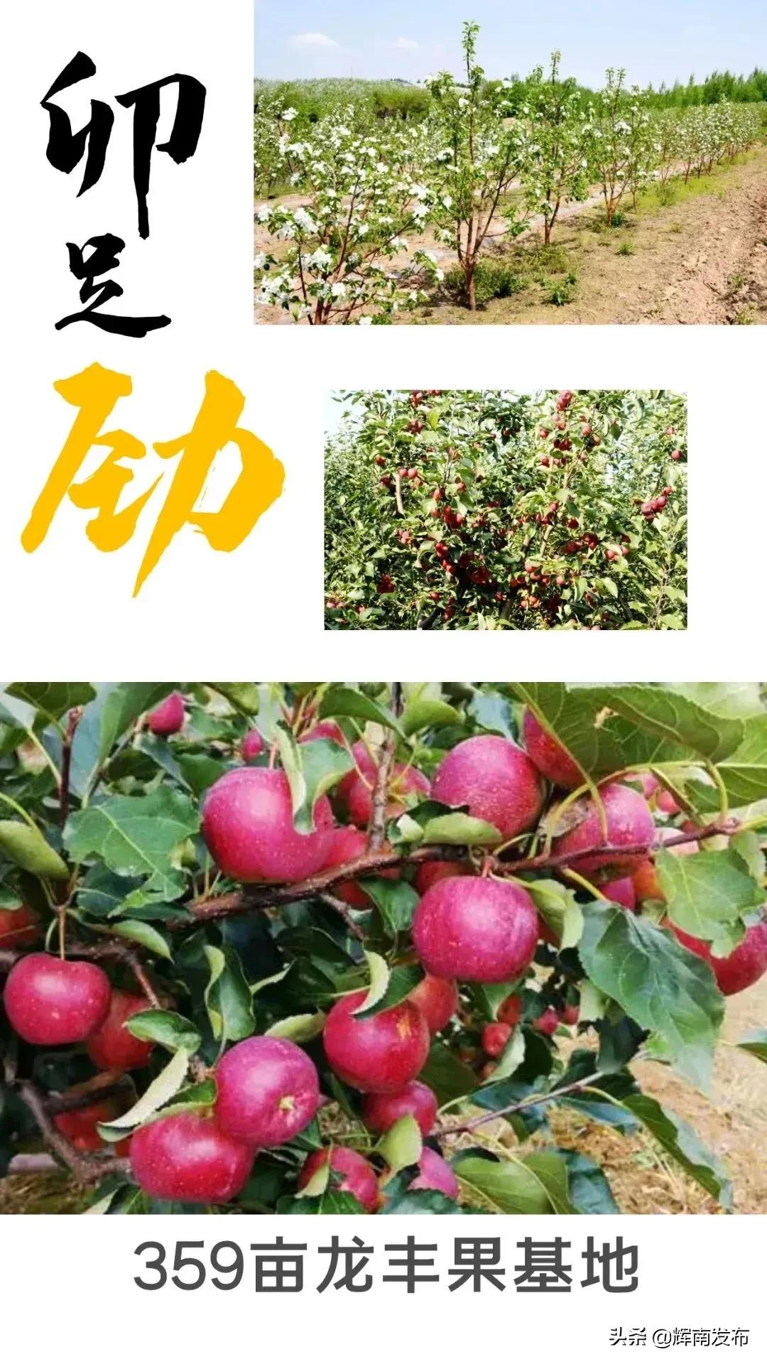 双龙村水田,辉南镇双龙村篮球赛