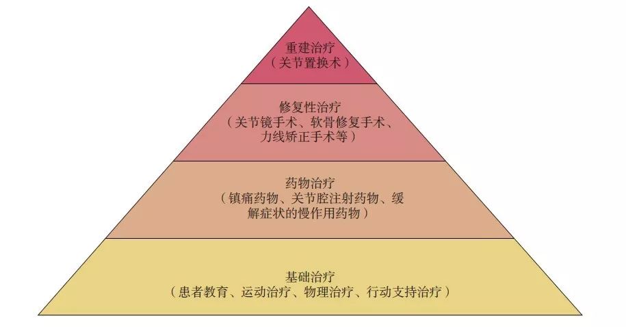 膝盖预知天气,为什么人类能预测未来的天气