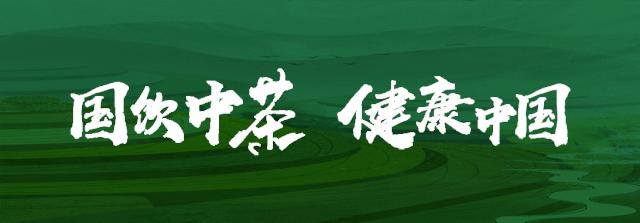 中茶七十周年尊享纪念茶,中茶最近预售的普洱茶