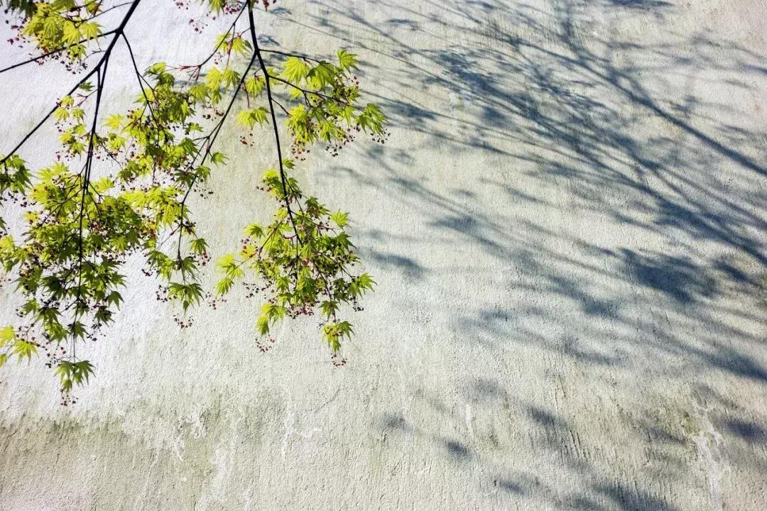 关于寒食的诗句10首,十首经典寒食诗