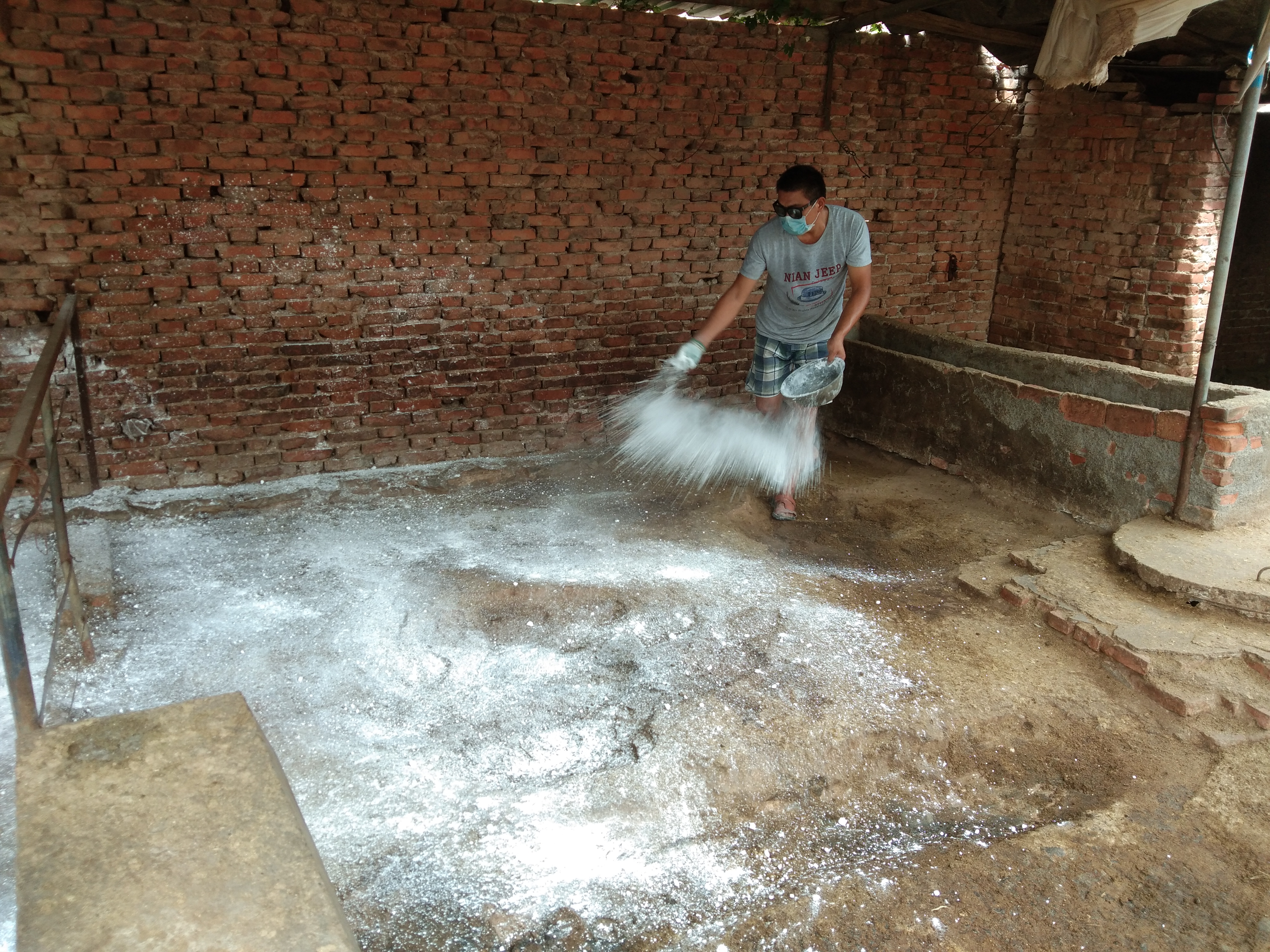 养羊疫苗时间表,养羊疫苗接种时间表