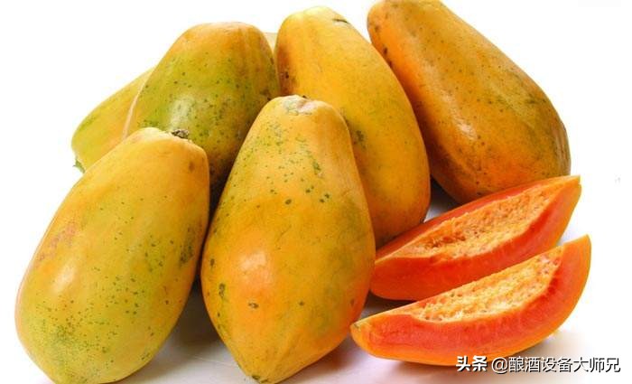 木瓜酒的生产方法,木瓜酒的功效与作用