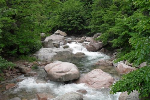 景美情美辞美——《与朱元思书》文言文原文阅读答案翻译注释