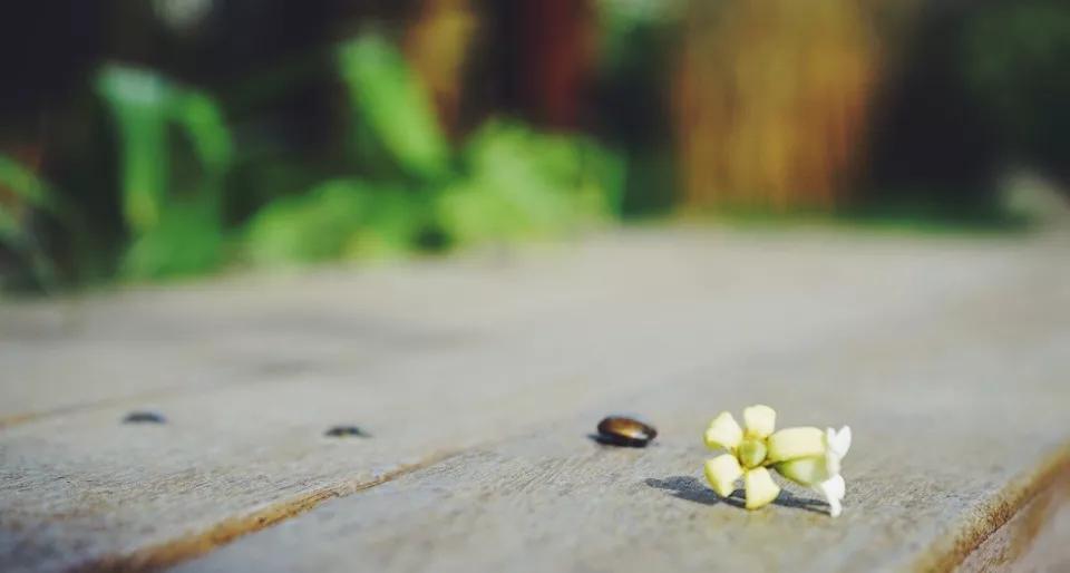 越没有本事的男人越喜欢做什么,人没本事一看便知喜欢做三件事