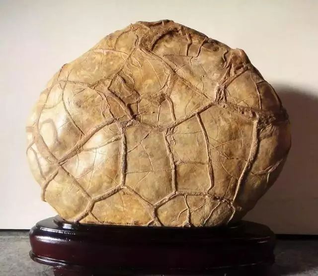 80种中国奇石图谱,临洮洮河奇石图谱