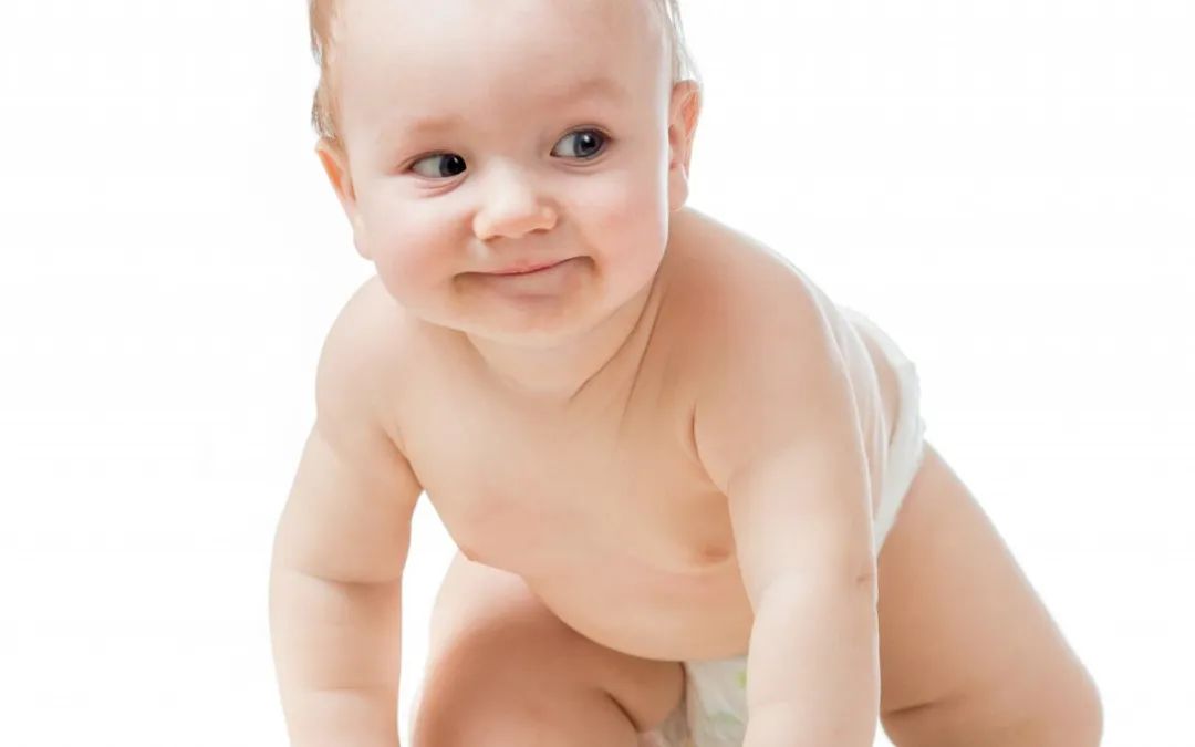 挺贵的奶酪棒,哪一款奶酪棒营养最高