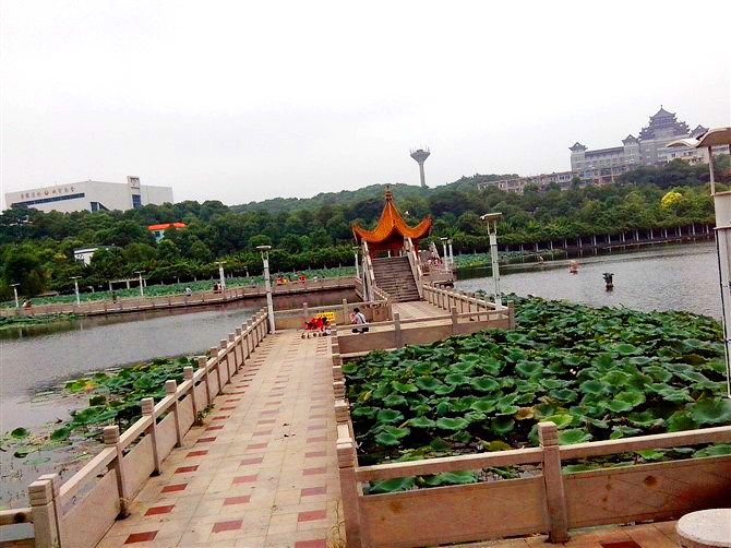 为什么要去长沙民政职业技术学院,长沙民政职业技术学院校园圈