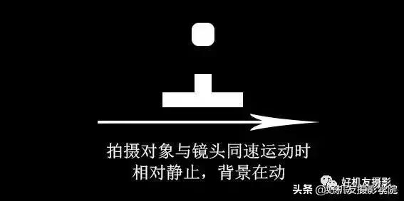 手机拍鸟镜头拍摄技巧,拍摄鸟片后期技巧有哪些