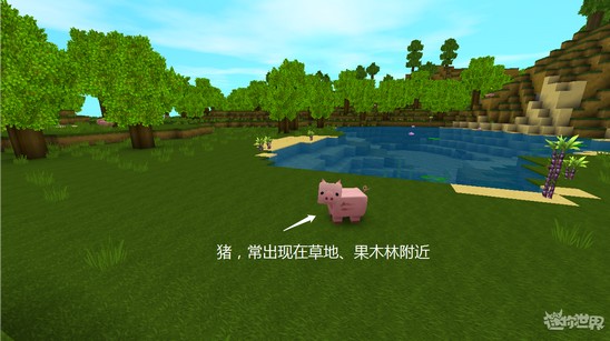 迷你世界所有动物捕捉方法,迷你世界怎么把动物当宠物