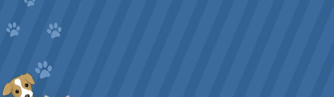 猫咪吐血拉血用什么药,猫咪胃出血是什么原因引起的啊