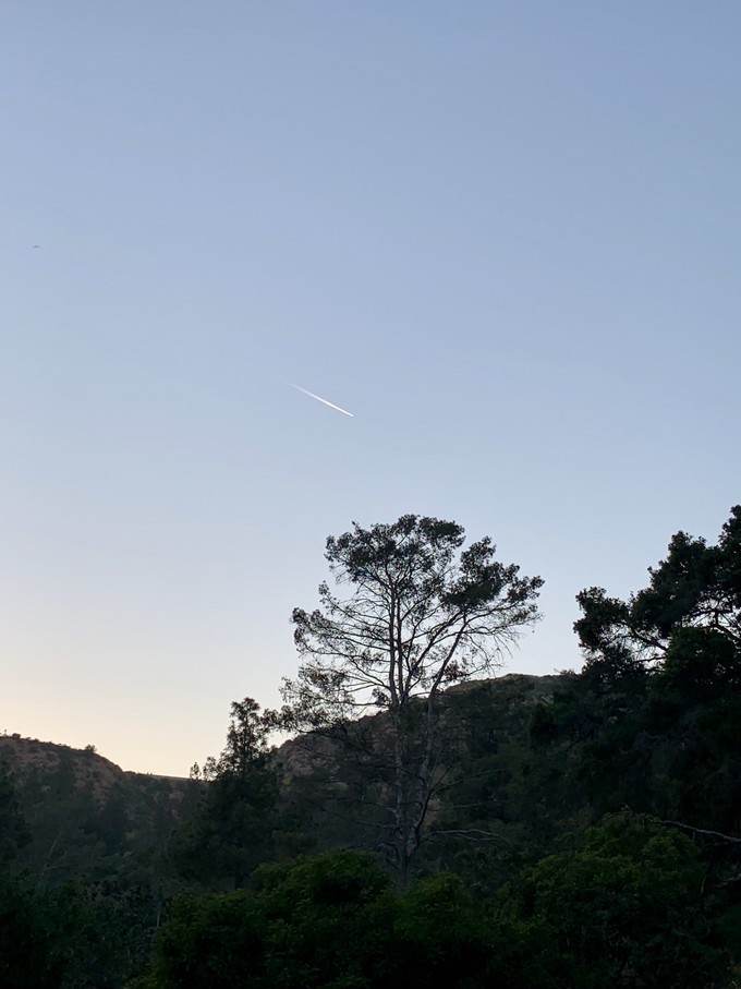 假如美国能说话（洛杉矶篇）