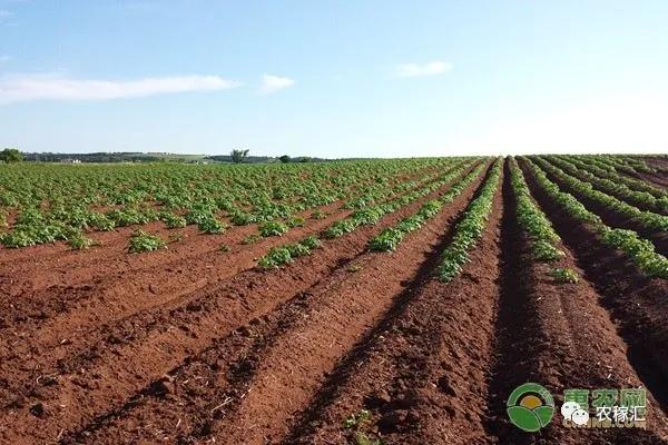 农村承包土地最新政策到期怎么办,土地承包到期后该怎么处理