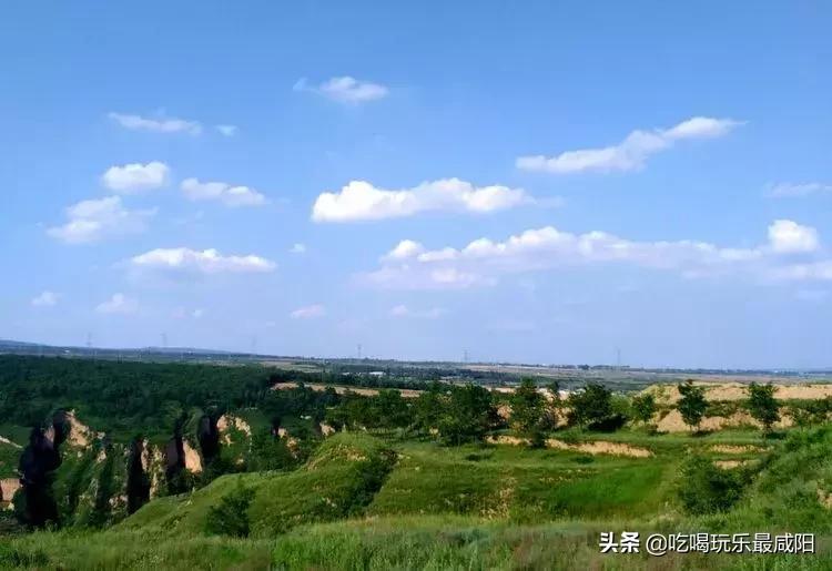 陕西哪三个县被评为天然氧吧,陕西中国天然氧吧之城