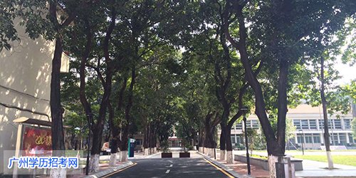 广东警官学院提前批怎么考,广东警官学院自考全日制专本连读