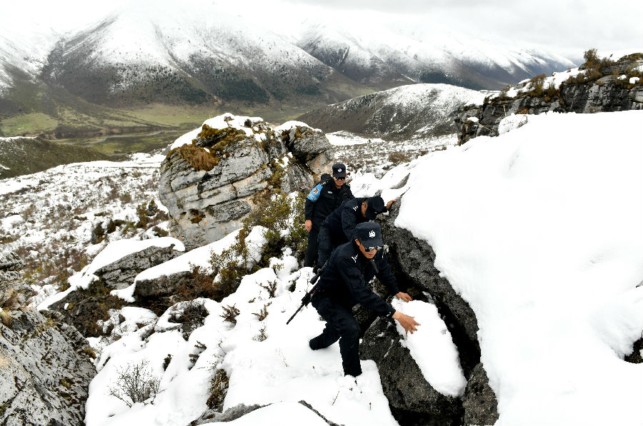 鐢樺瓬钘忓尯铏崏,鐢樺瓬搴峰畾铏崏鍗＋