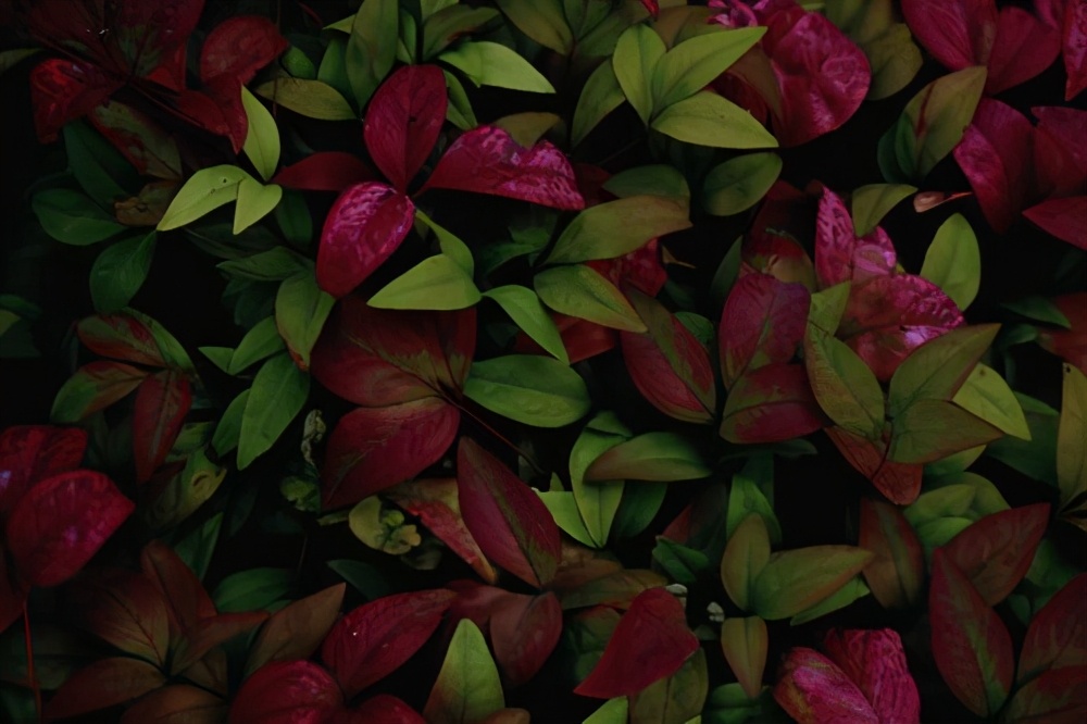 面部干痒脱皮是什么原因,面部干痒怎么办