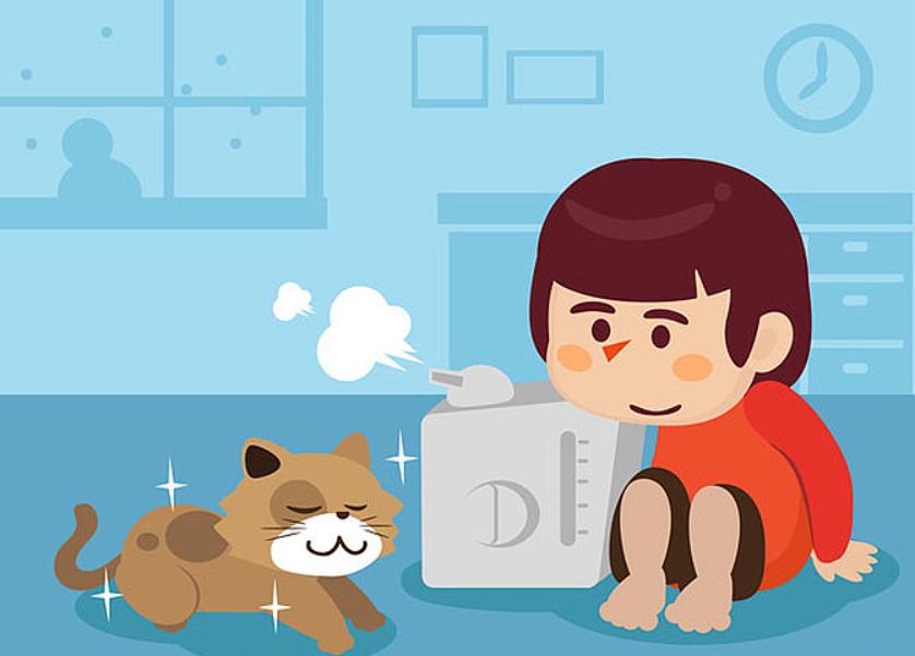 初秋干燥选购加湿器应该如何下手,加湿器买高的买矮的好